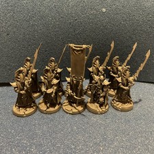 Dark Elf. Black Guard