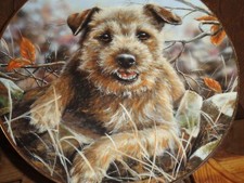 Danbury Mint Collectors Plate