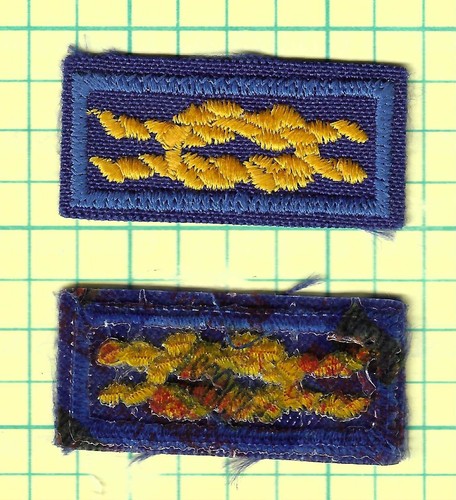Bsa cub pack - pack, den