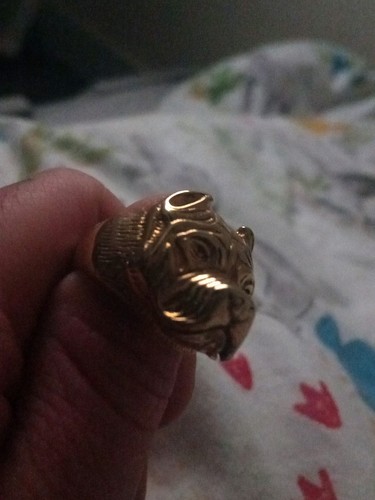 Mens gold pitbull - mens, ring
