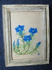 Framed Original Watercolour Painting Trumpet Gentians Flowers Signed Botanical