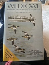 Wildfowl- An Identification