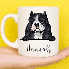 Personalised American Bully