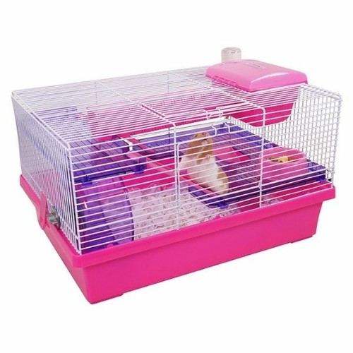Rosewood pico hamster mice - rosewood,