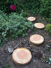 Four wooden garden log