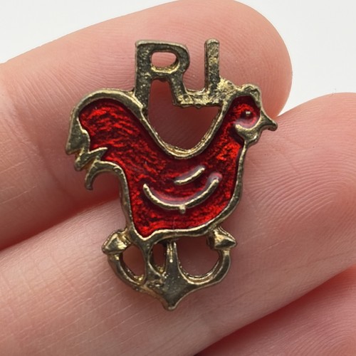 Rhode island red - rhode, state