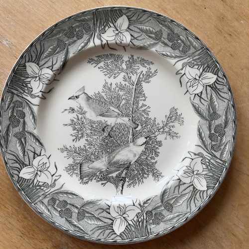 Vintage audubon adams - j,