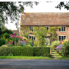 Cottage Garden Plant