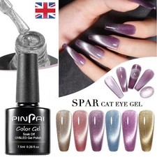 9D Cat Eye Nail Gel Polish