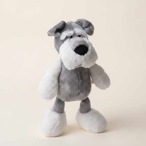 Cute miniature schnauzer dog - cute,
