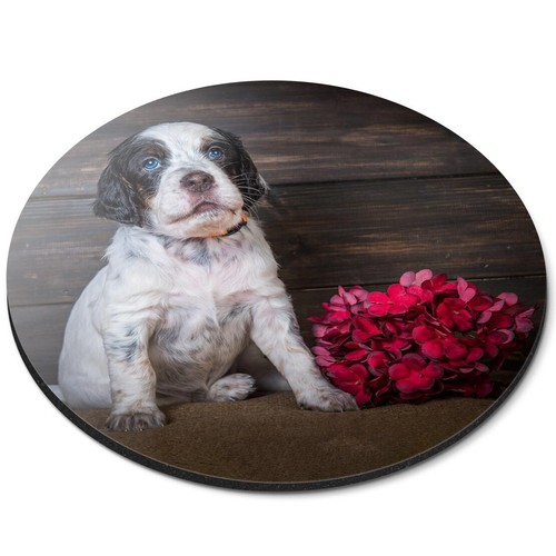 Round mouse mat - english, setter