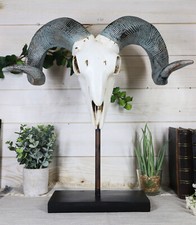Realistic Bighorn Sheep Ram