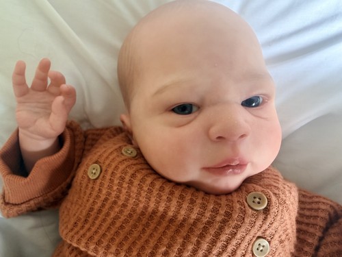 Reborn collectible art doll - collectible,
