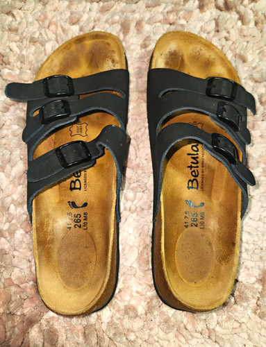 Betula birkenstock woogie - betula,