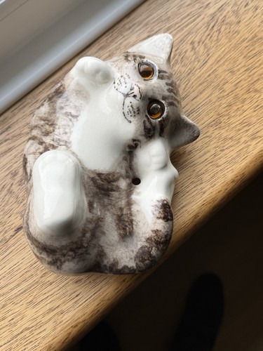 Winstanley tabby cat size - cat,