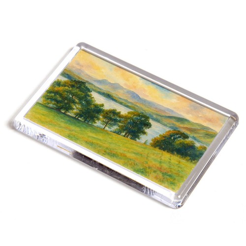 Fridge magnet windermere - magnet,
