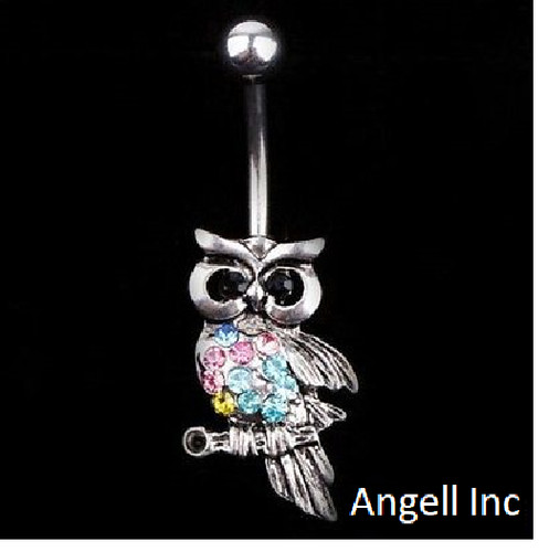 Cute owl bird - owl, belly