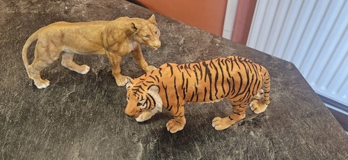 Lion and tiger - lion,