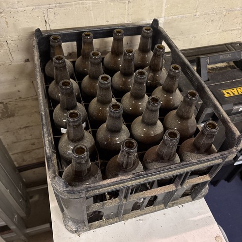 Beer bottles for homebrew - bottles, 20