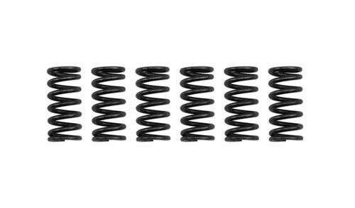 Clutch spring kit for - spring,