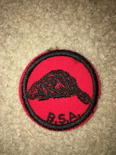 Boy scout bsa beaver 1933 - bsa, to