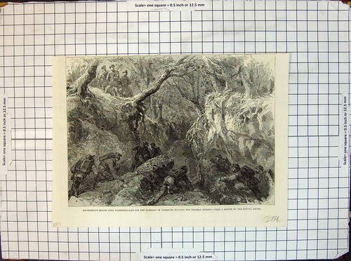 Old print civil war - print, scouts