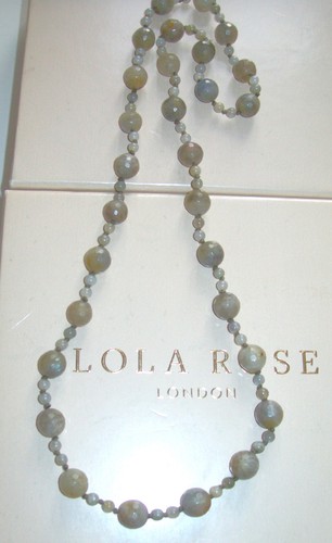 Lola rose stunning - lola, *stunning*