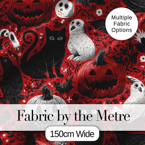 Halloween cat owl - halloween,