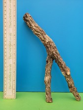 CORK BARK BRANCH 26CM SNAKE
