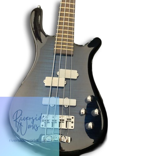 Warwick custom masterbuild