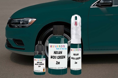 Touch paint for - paint, nissan