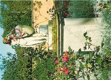 Picture Postcard::Weston Park, the Teardrop Garden