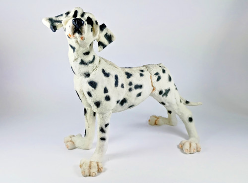 Breed apart dalmatian - a,