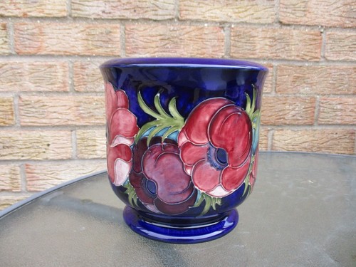 Moorcroft larger anemone - anemone, on