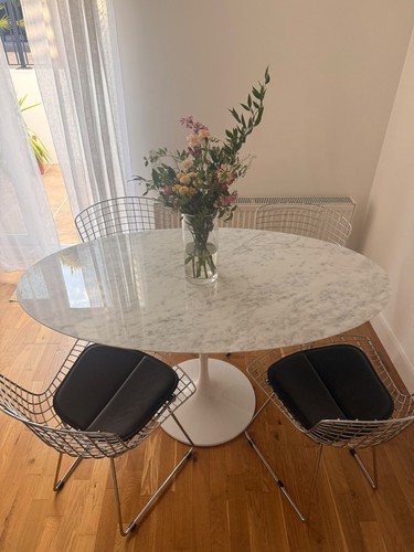 New italian oval tulip - tulip, dining