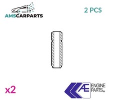 VALVE GUIDES VAG96073B AE 2PCS
