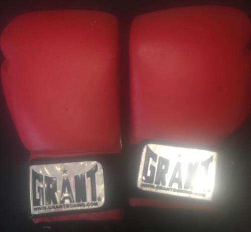 Grant boxing gloves - grant,