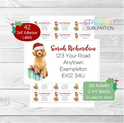 Poodle dog 42 - (apricot),