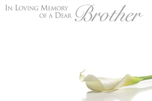 Shredastic brother in - shredastic®,