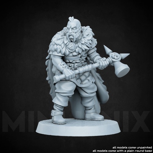 Viking warrior fantasy - ||,
