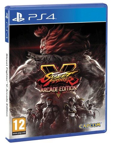 Street fighter arcade - fighter,