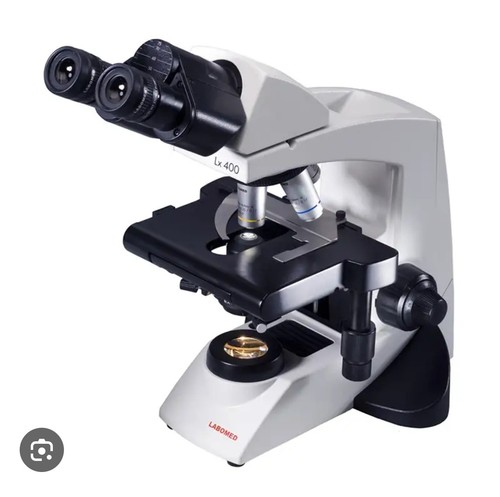 Binocular brightfield - binocular,