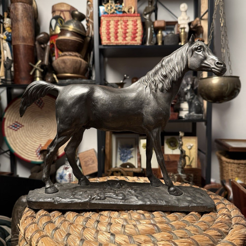 Vintage horse stallion - horse,