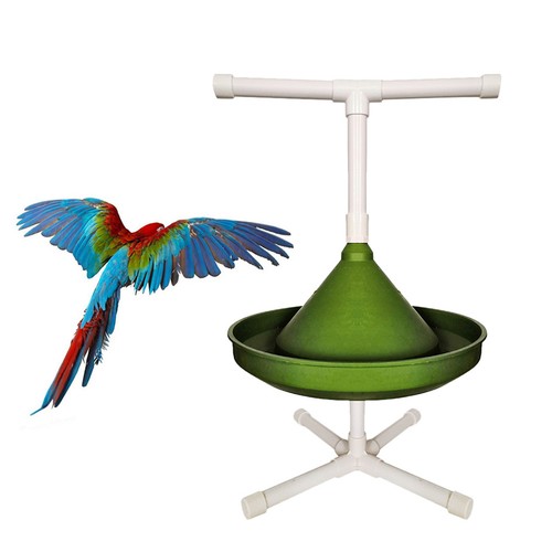 Bird play stand parrot stands - bird,