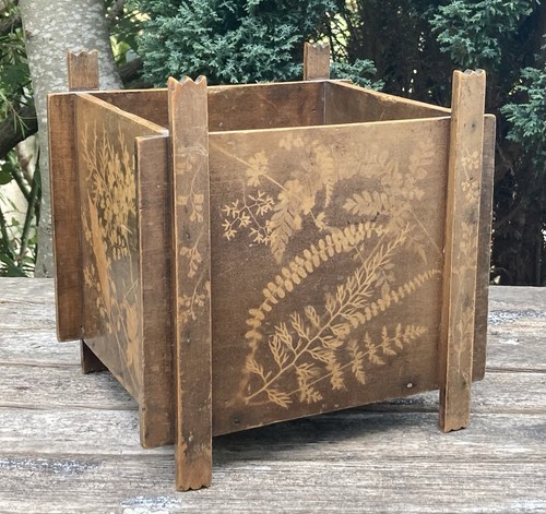 Unusual antique victorian fern - antique,