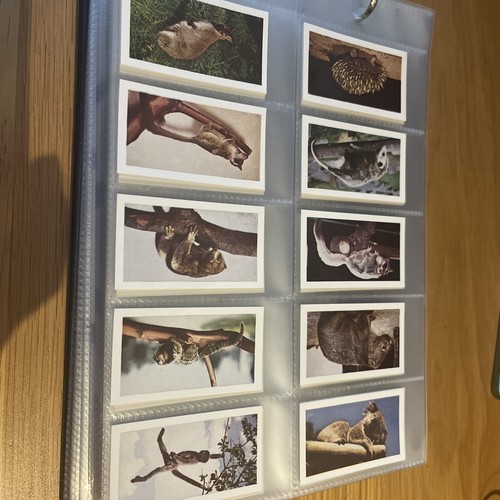 A25 hornimans tea cards wild - a25,