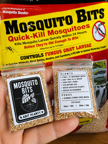 Summit mosquito bits fungus - mosquito,