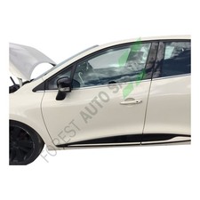 RENAULT CLIO FRONT DOOR LEFT
