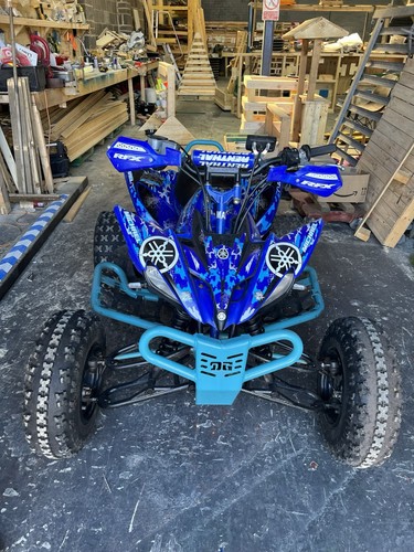 Raptor 250 graphics kit - graphics,