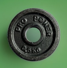 Pro power kilogram weight - pro, 0.5